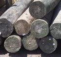 All Timber Products