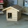 Dog Kennel made using treated pine