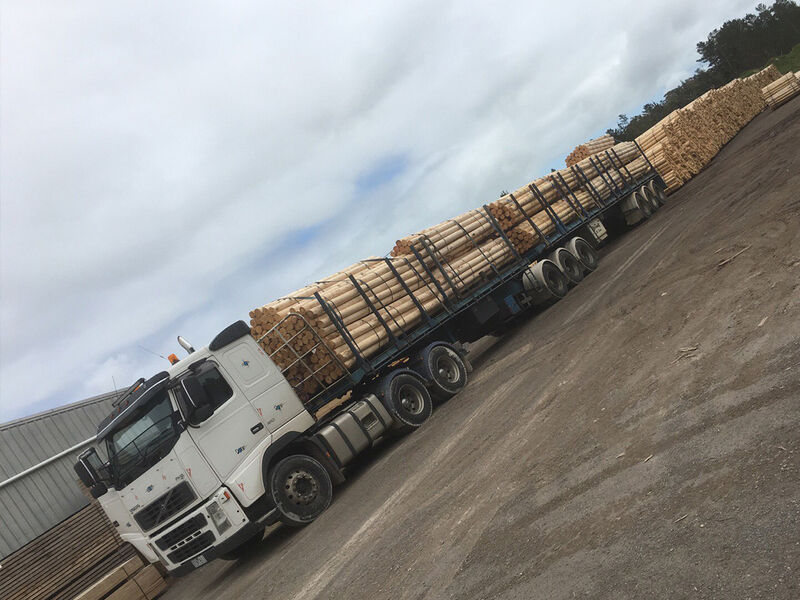 Treated Pine Posts & Poles