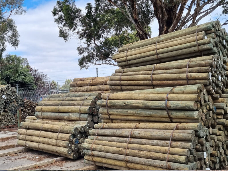 Treated Pine Posts & Poles