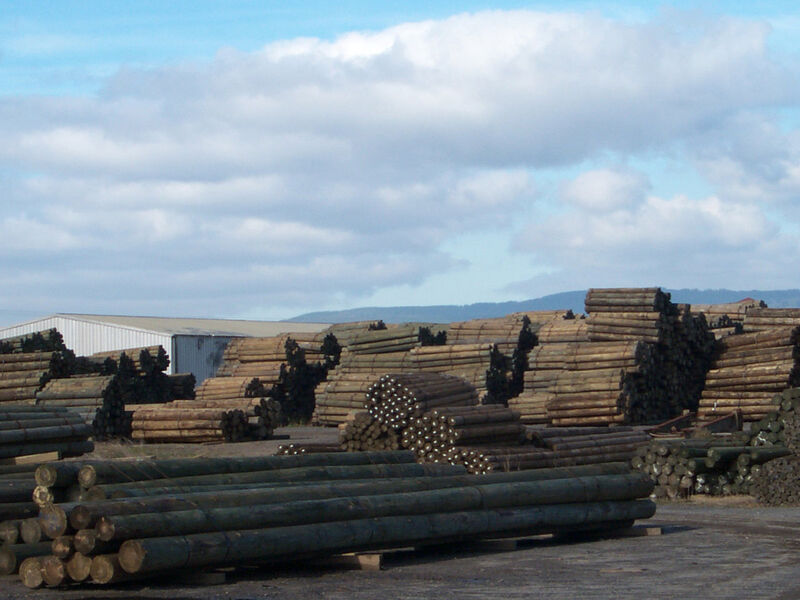 Treated Pine Posts & Poles