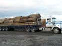 Semi Load of timber